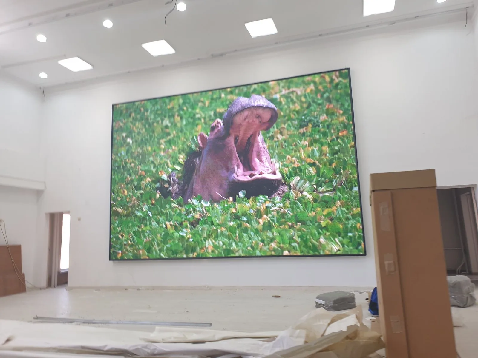 LED экран в музыкальной школе №5, Алматы